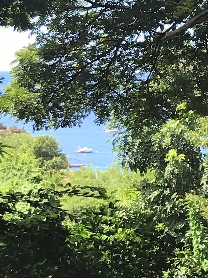 Appartement Chalet Colibri , Les Anses D'Arlet 200 M Plage