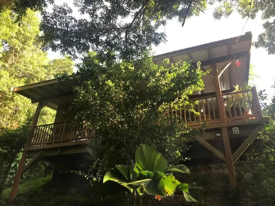 Chalet Colibri , Les Anses D'Arlet 200 M Plage 0*, レザンセス・ダルレット