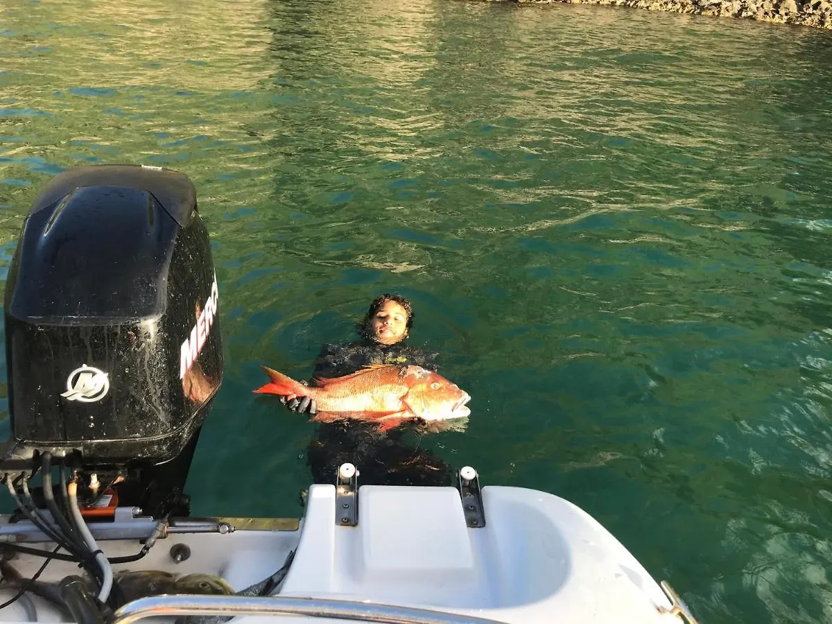 アパート Chalet Colibri , Les Anses D'Arlet 200 M Plage