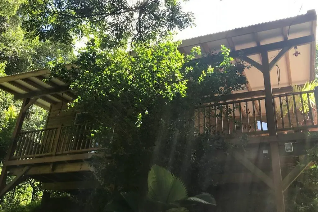 公寓 Chalet Colibri , Les Anses D'Arlet 200 M Plage